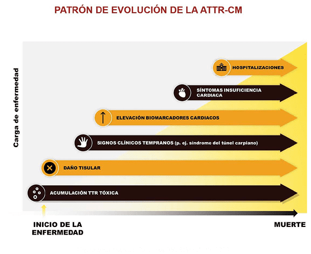 Gráfico de progresión de la carga de  ATTR-CM